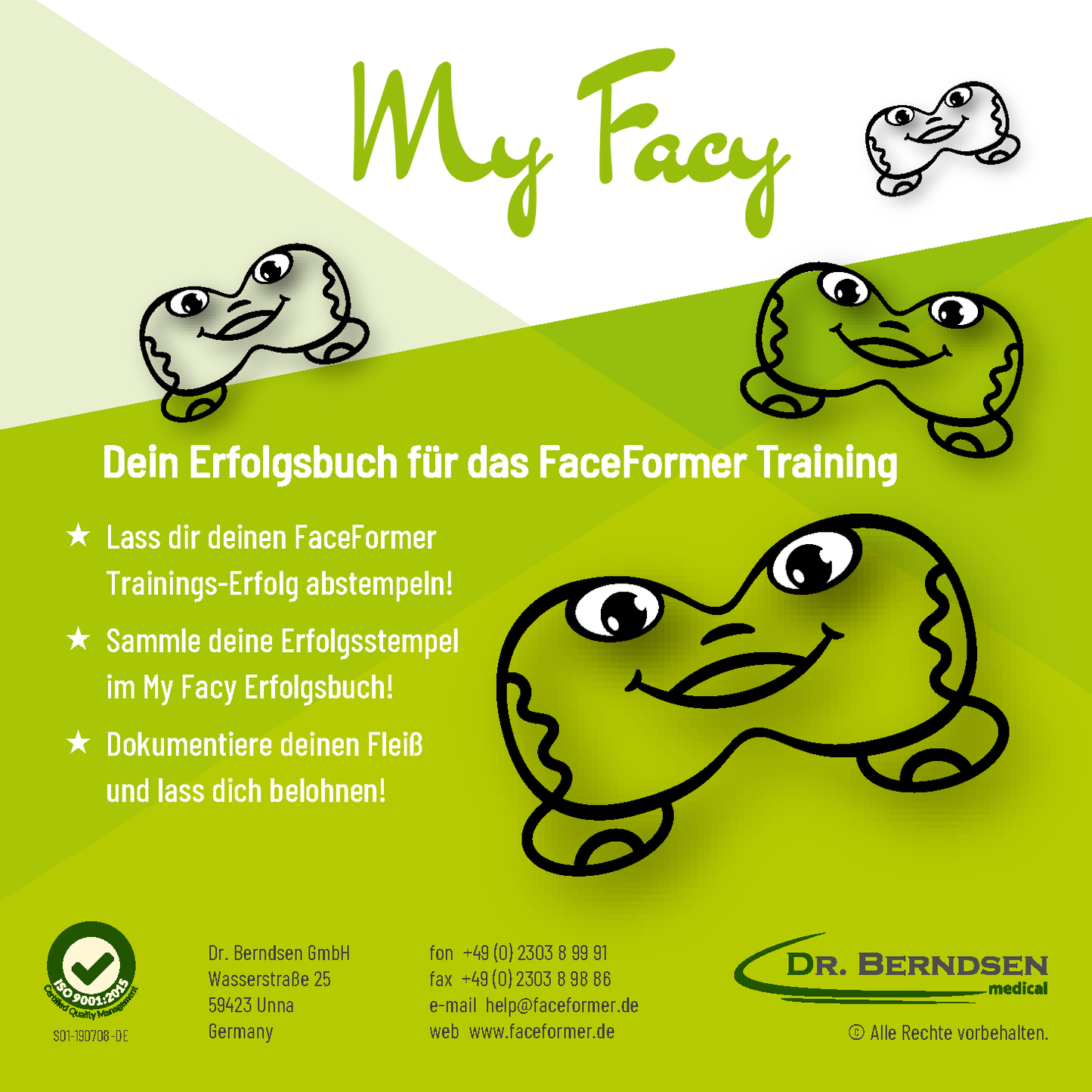 My Facy Success Book