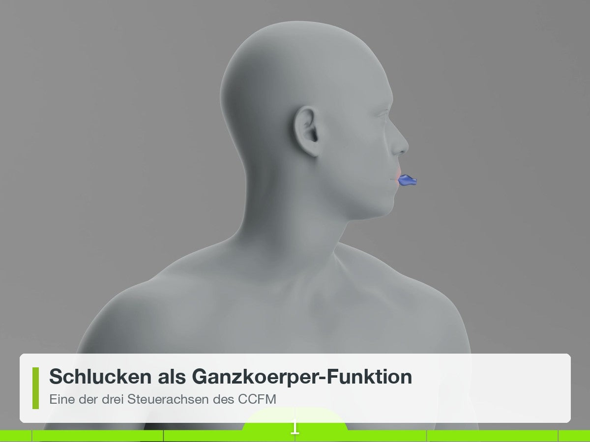 Schlucken als Ganzkoerper-Funktion, eine der drei Steuerachsen