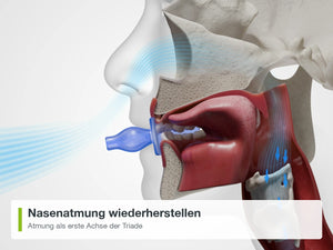 FaceFormer im Einsatz: Nasenatmung wiederherstellen